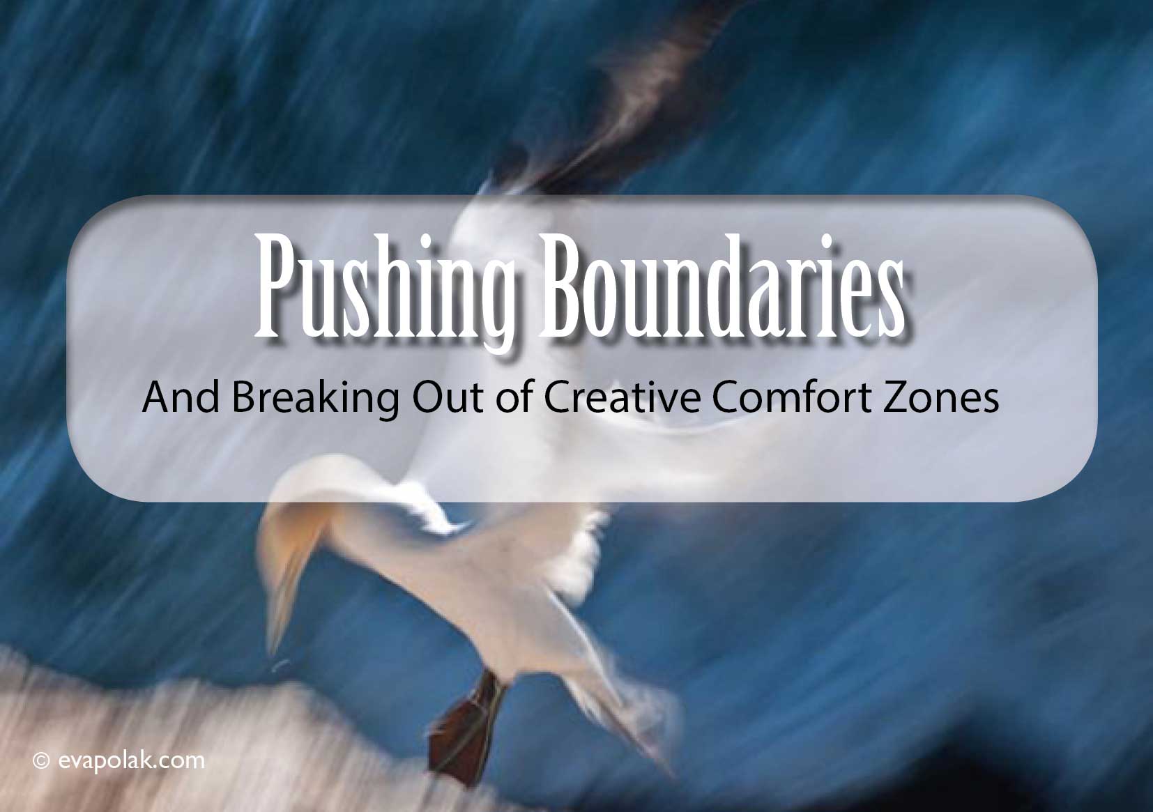 latin girl black dress dancing